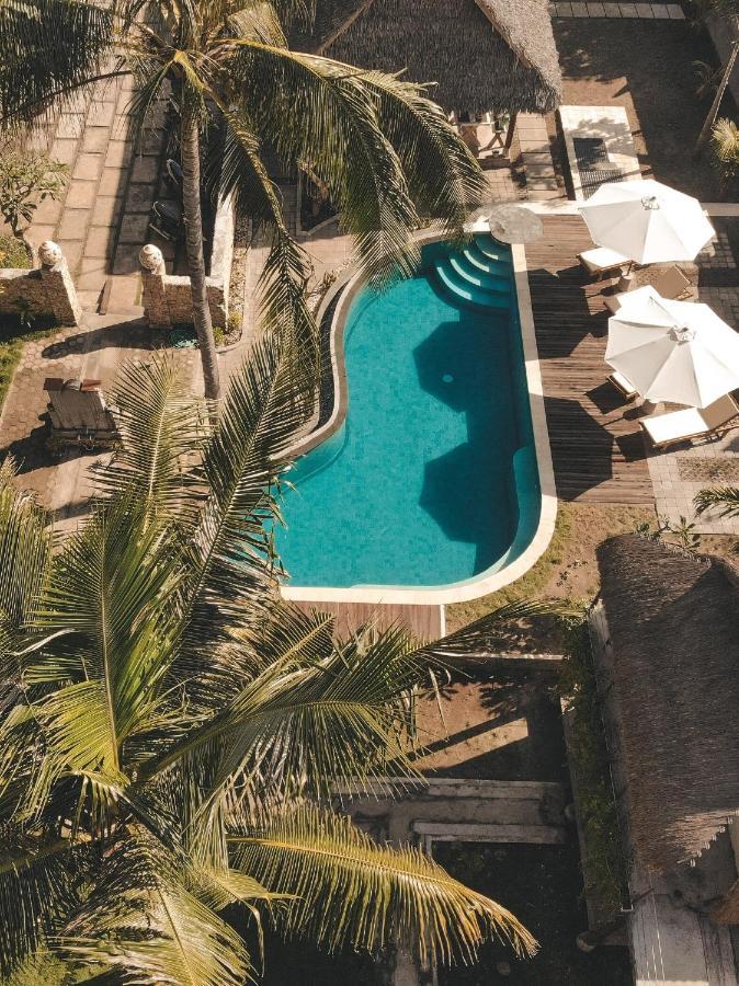 Tentacle Bali Ped Extérieur photo